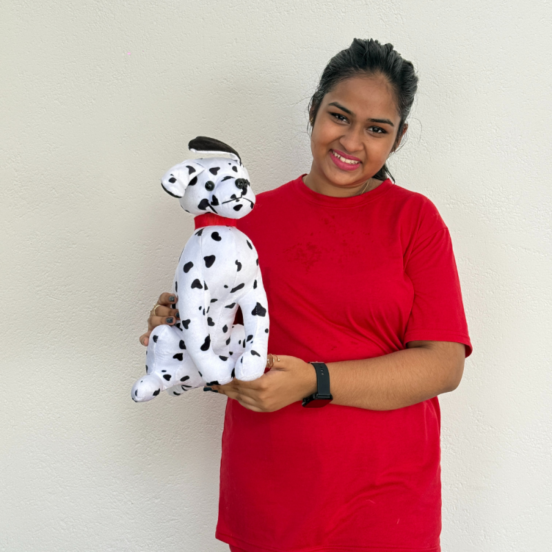 Dalmatian Plush Toy